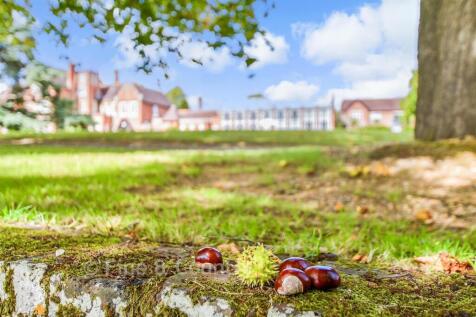 External Lifestyle Photograph