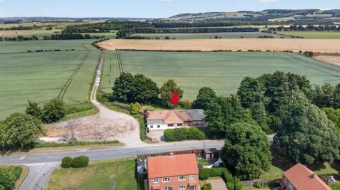 DJI_0660.jpg