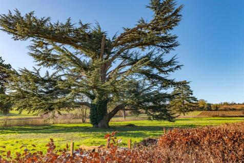 Offton revisit_27.jpg