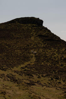 342450 - Tin House, Milovaig-34.jpg