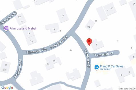 Google Maps Image