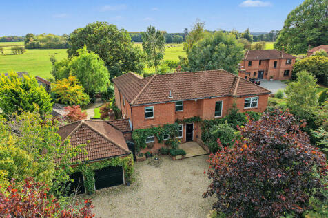 Oak Tree House