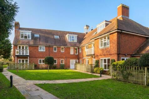 7 the conifers front image.jpg