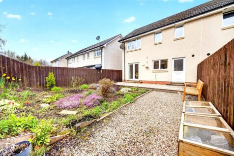 rear garden.jpg