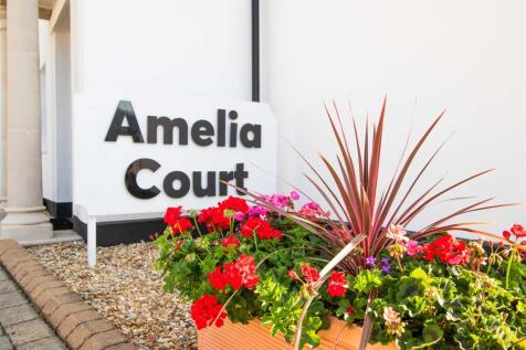 amelia-10.jpg