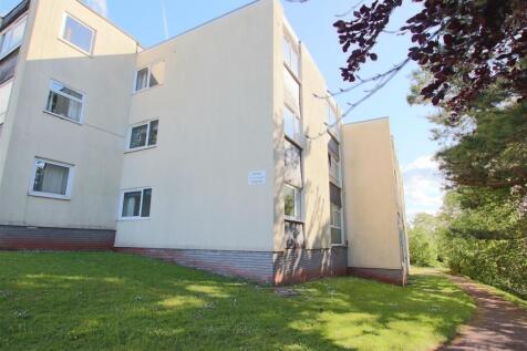 Rear Aspect.JPG