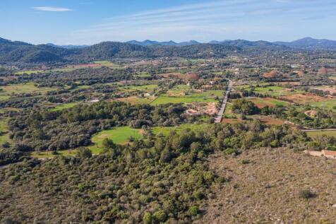 WhatsApp Image 2025-