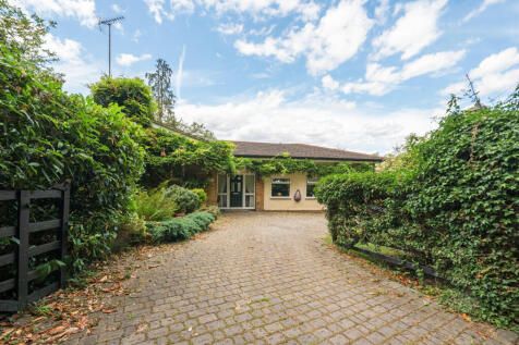 1313636-1-6866903...