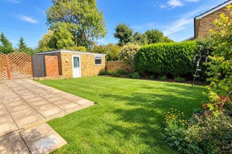 Garden 3.jpg