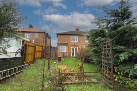 IMG 7762 T202511161807.jpg