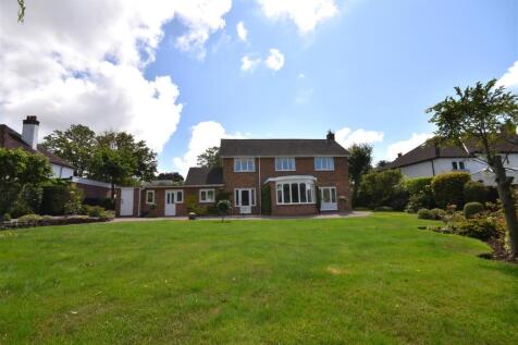 DSC_0329 - Copy (5).JPG