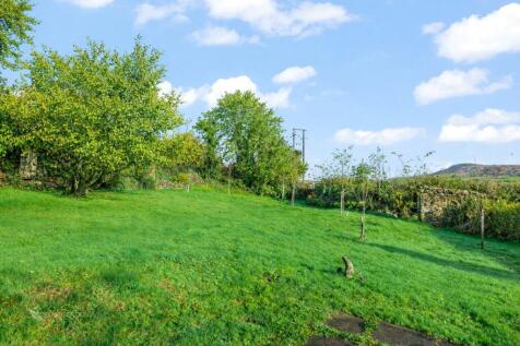 Garden/Orchard