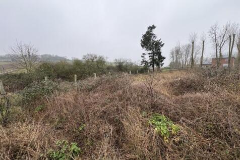 10 T202602091545.jpg