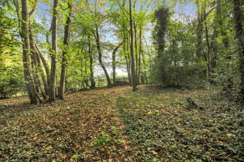 Property Image 62