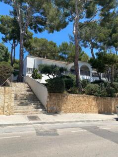 WhatsApp Image 2024-