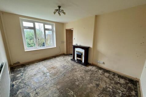 IMG 4745 T202602051253.jpeg