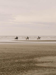 321988 - Second Avenue_Warm-1.jpg