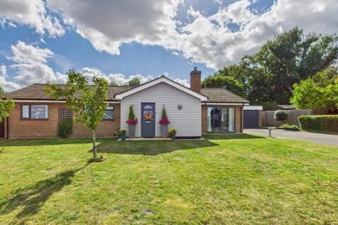 2 Douglas 1 vendor photo.jpeg