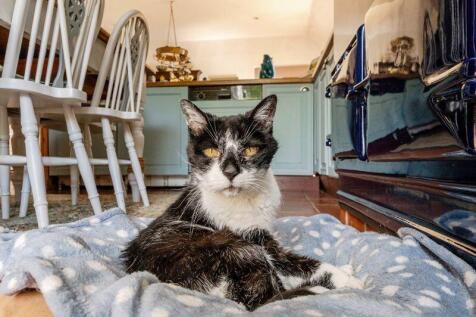 Shirley (Not Staying)