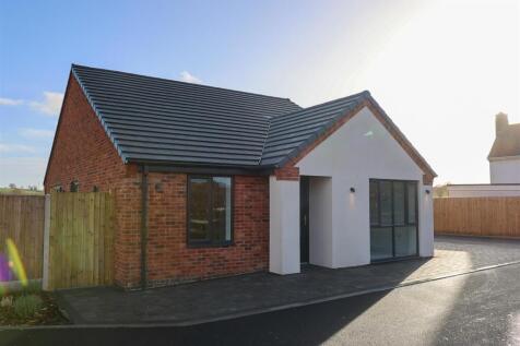 Copper Beech Close-1.jpg