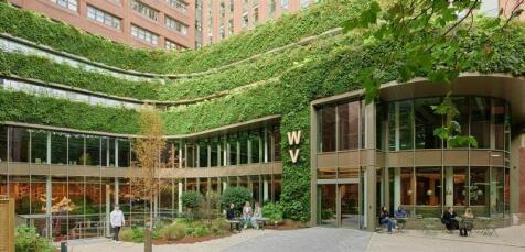 Panorama Front View.jpg