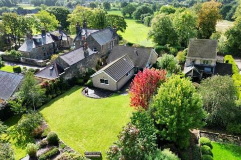 dji_fly_20230925_135016_33_1695646163012_photo_optimized (1).jpg