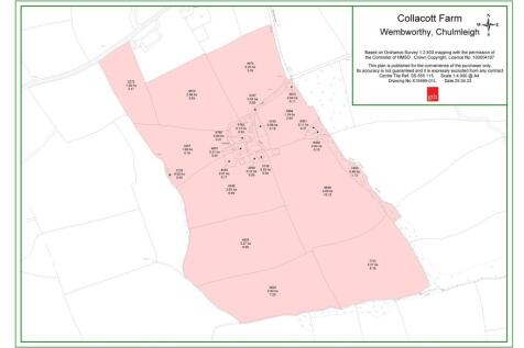 Identification Plan