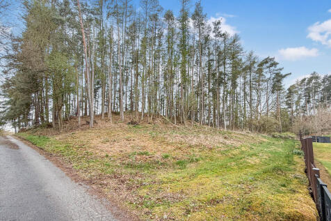 1564096_202504151...