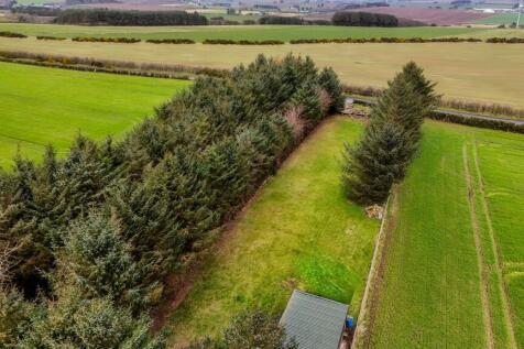 Aerial view of paddock, wooded area.