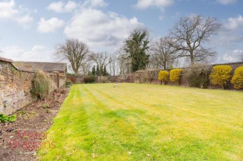 20250321-20250321-DSC07247-Edit (2).jpg