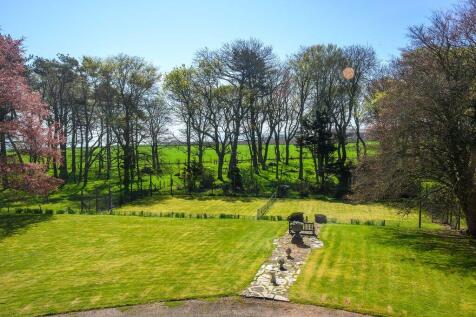 Lawn