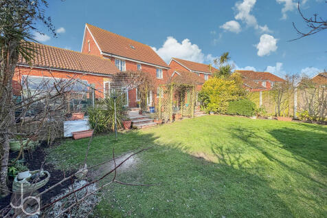 20250218_13165971...