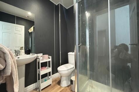 WhatsApp Image 2025-