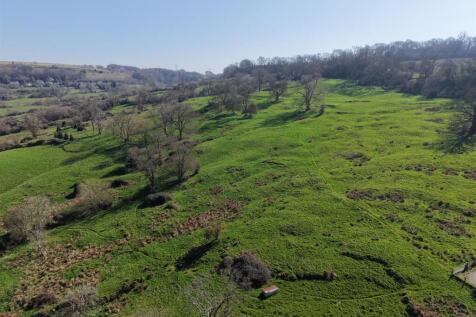DJI_20260319115320_0098_D.JPG