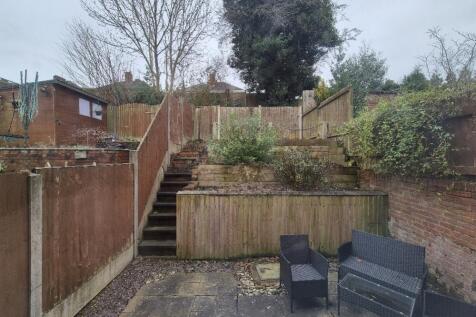 20241220_115450_resized