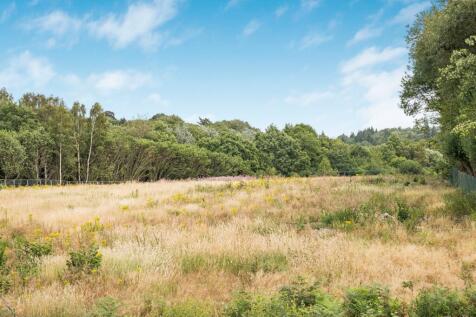 Adjoining Fields