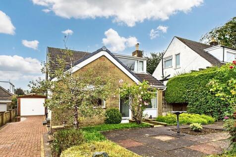 Welcome to Dale Avenue