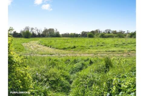 Field