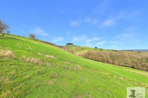 Field and views