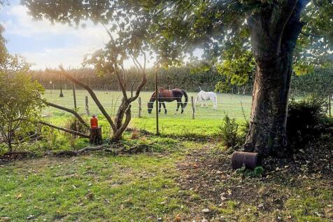 View At Rear Of Garden