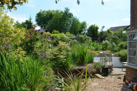 Garden - Summer 2025