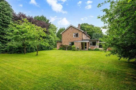 SILVER TREES- (18).jpg