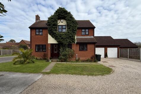 IMG_6437.jpeg