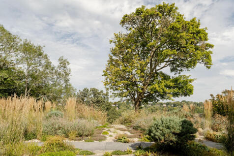 233989 - 20240828-CAMP-RD_TMH-1_HI_RES.JPG