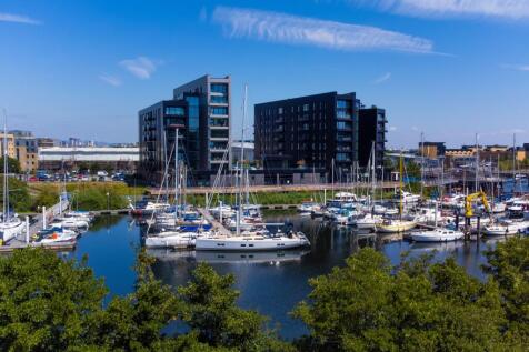 Bayscape through trees