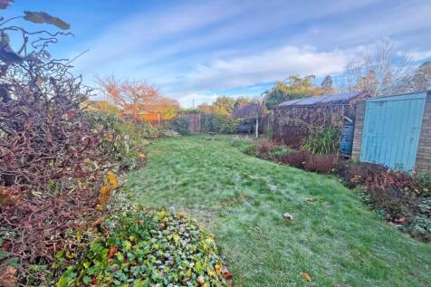 Garden.jpg