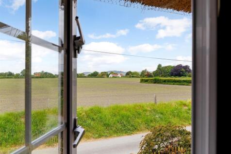 Field Views To Front