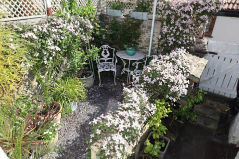 Rear courtyard garden