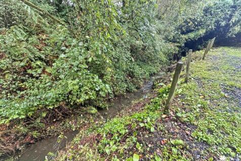 IMG_8296.jpg