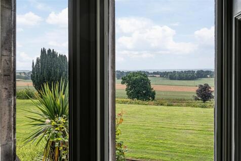 untitled (30 of 1).JPG